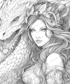 Fairies and Dragons coloring