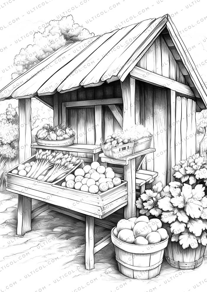 Cabbage Vegetables Grayscale Coloring Pages