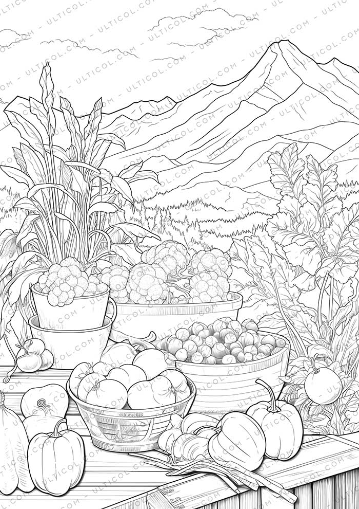 Cabbage Vegetables Grayscale Coloring Pages