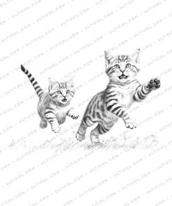 Cat Grayscale Coloring Pages