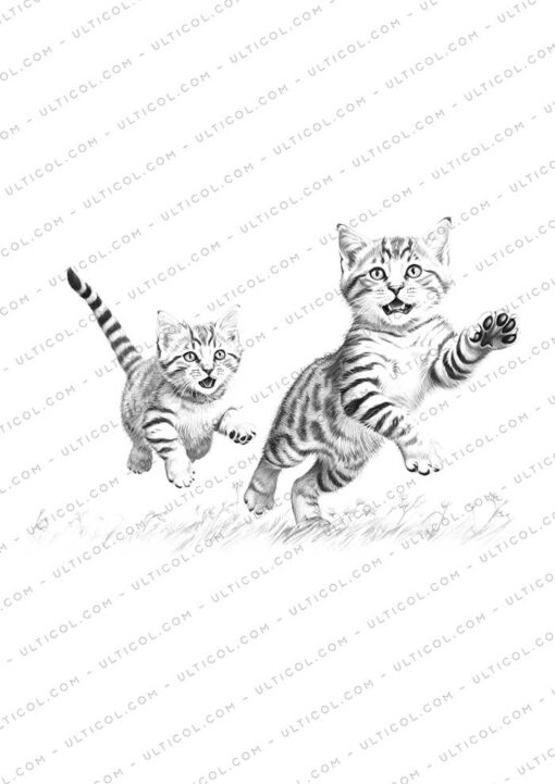 Cat Grayscale Coloring Pages