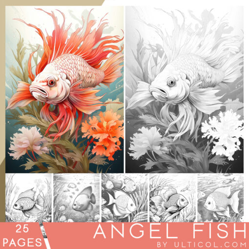 Angel Fish coloring