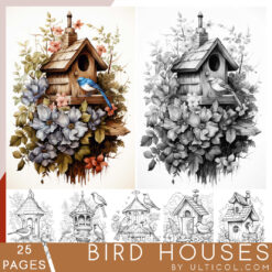 Bird Houses Coloring