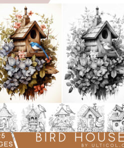 Bird Houses Coloring