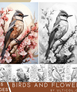 Birds and Flowers Coloring