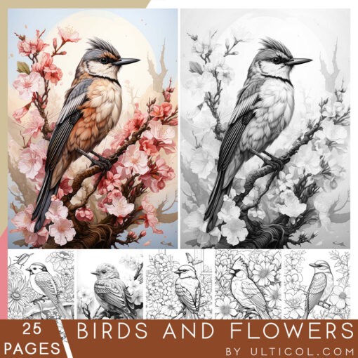 Birds and Flowers Coloring