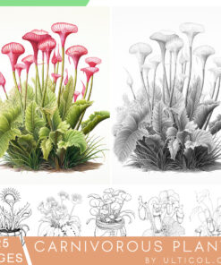 Carnivorous Plants Grayscale Coloring Pages