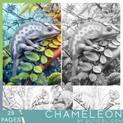 Chameleon Coloring