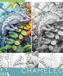 Chameleon Coloring