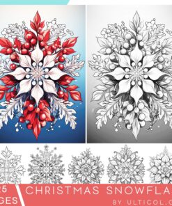 Christmas Snowflake Coloring