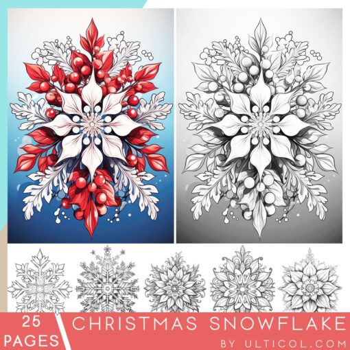 Christmas Snowflake Coloring