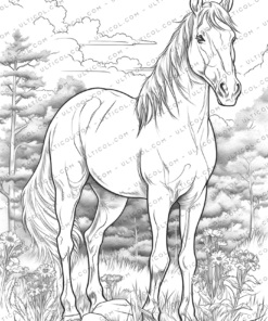 Horse Coloring Book