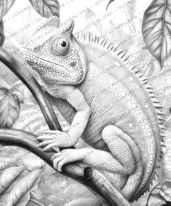 Chameleon Coloring