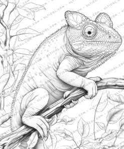 Chameleon Coloring