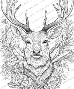 Reindeer Coloring