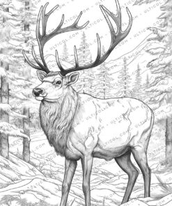 Reindeer Coloring