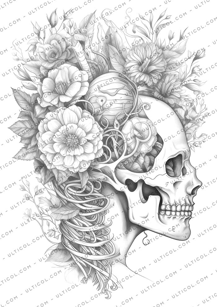 Floral Anatomy Coloring