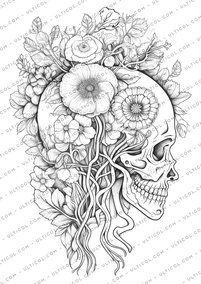Floral Anatomy Coloring
