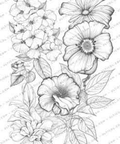 Botanical Flowers Coloring