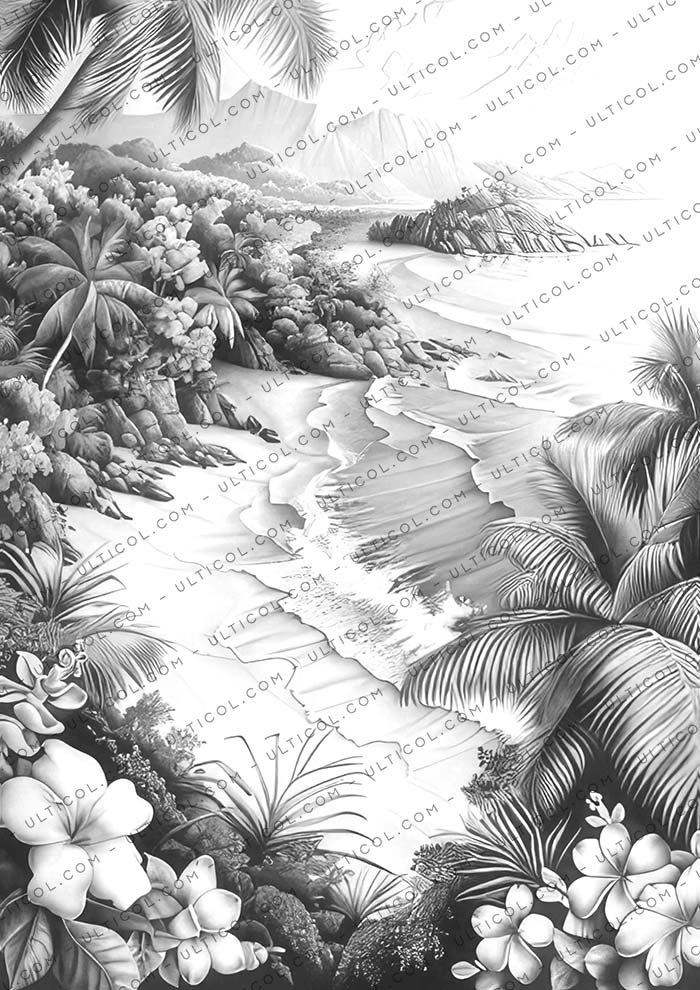 Beautiful Tropical Beaches Coloring