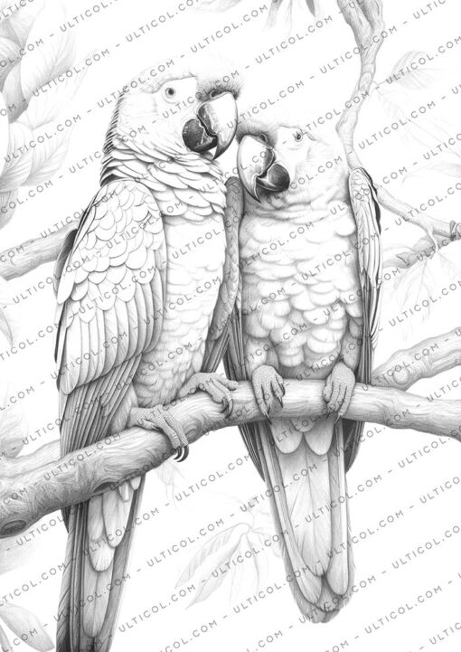 Parrot Coloring