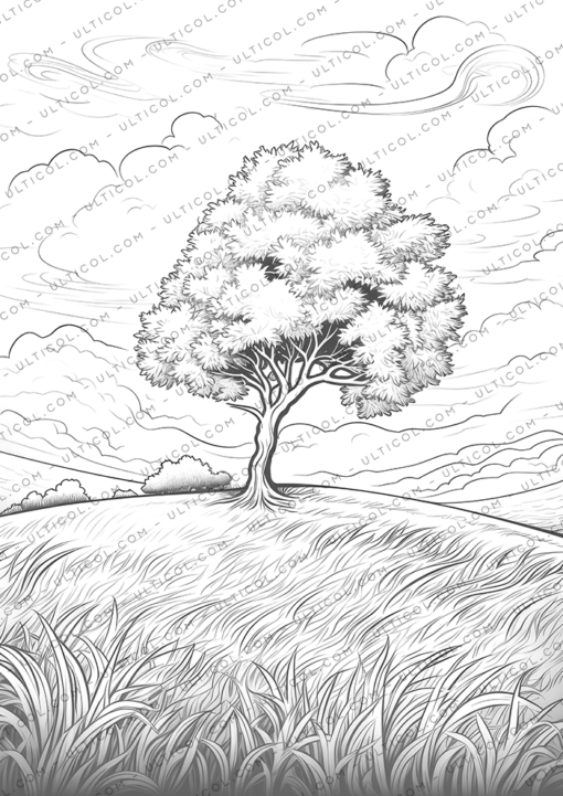 Trees Coloring Book