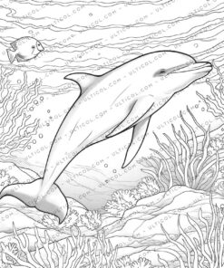Dolphin Coloring
