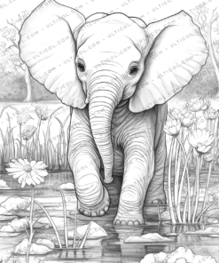 Elephant Coloring Book