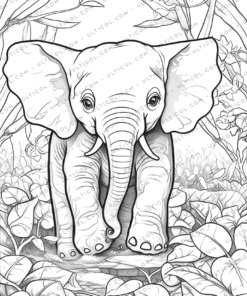 Elephant Coloring Book