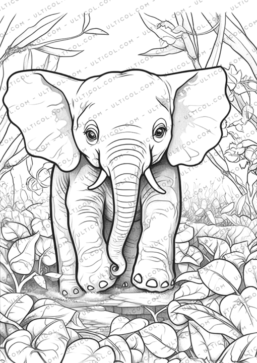 Elephant Coloring Book