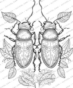 Love Bugs Coloring