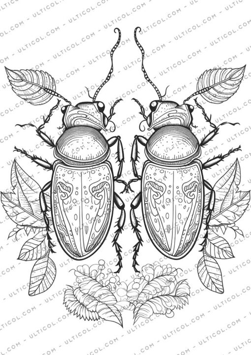Love Bugs Coloring