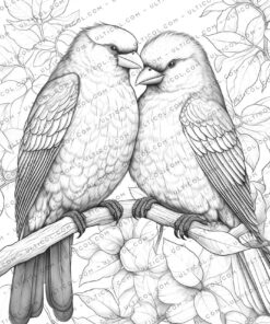 Love Birds Coloring