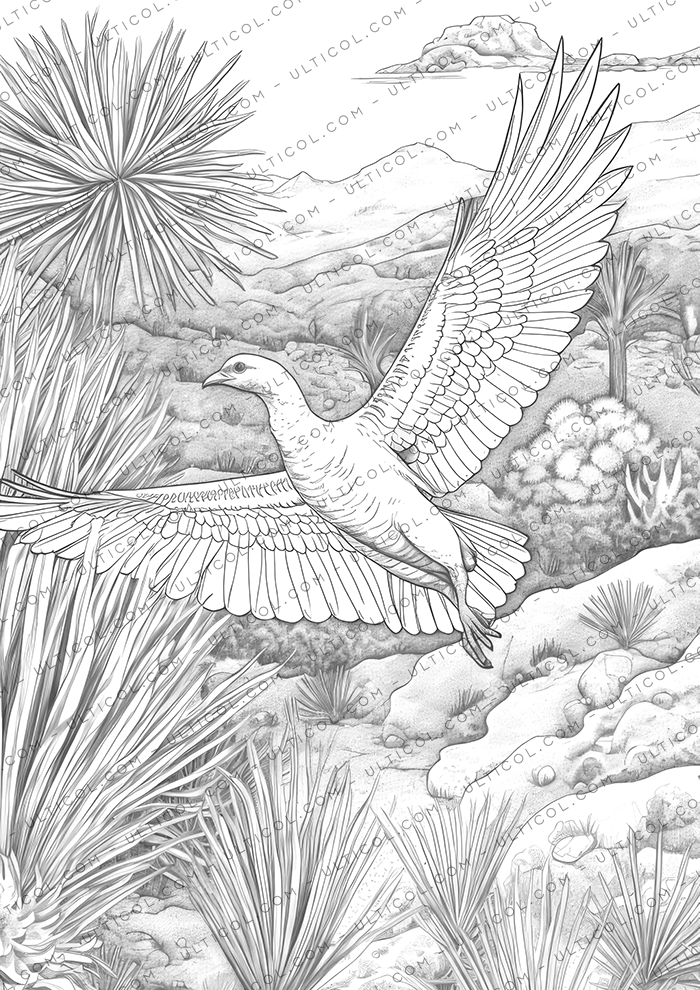 Desert Animals Coloring