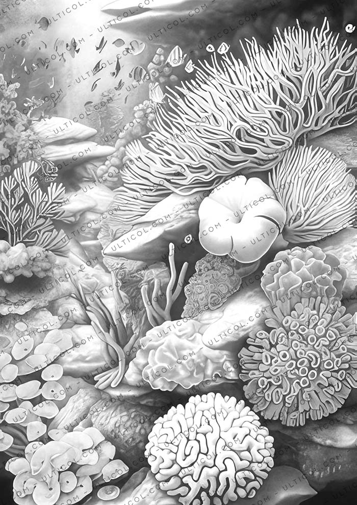 Colorful Coral Garden Coloring
