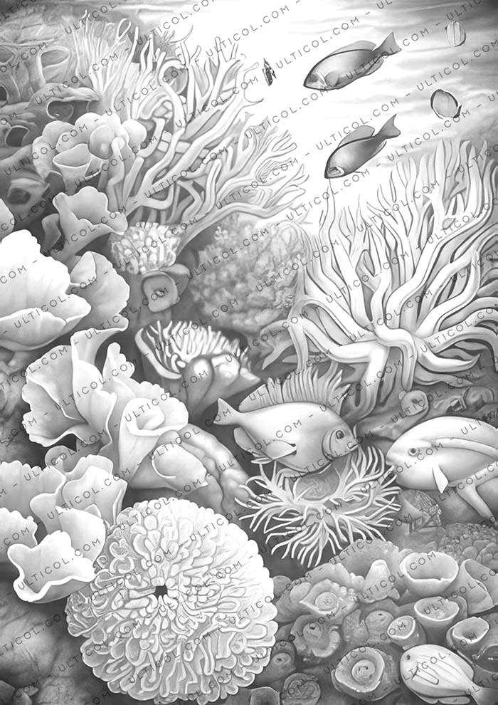 Colorful Coral Garden Coloring