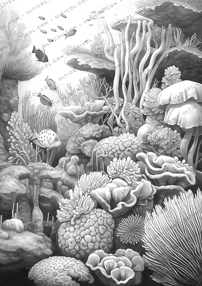 Colorful Coral Garden Coloring