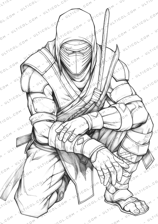 Ninja Coloring Book