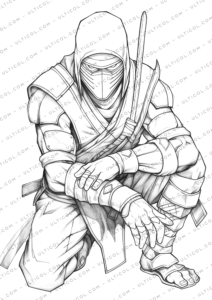Ninja Coloring Book
