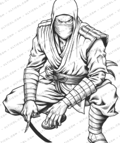Ninja Coloring Book