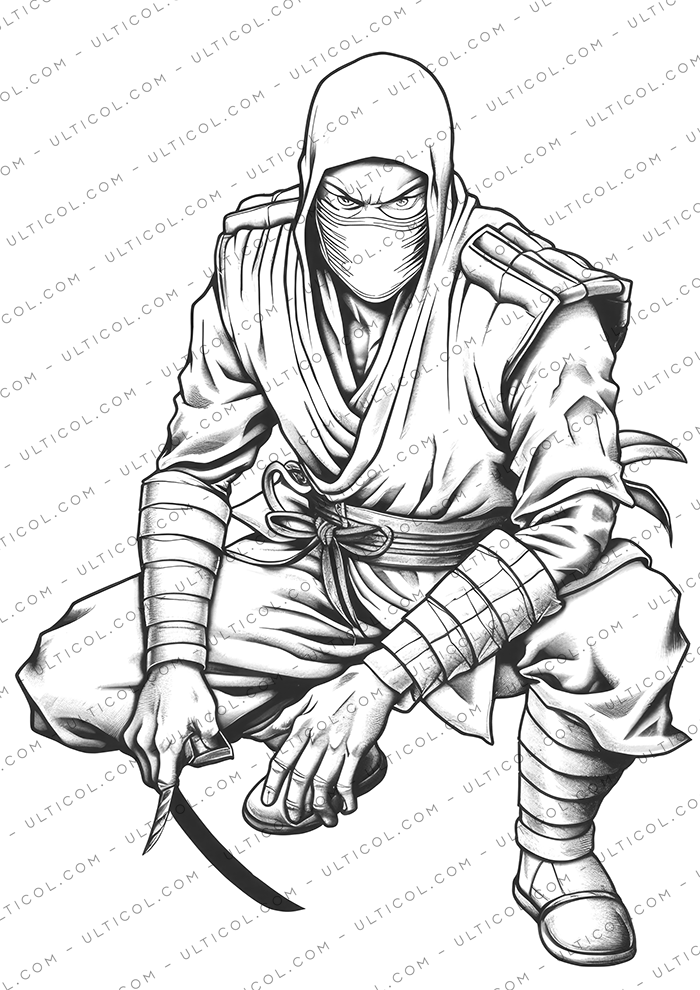 Ninja Coloring Book