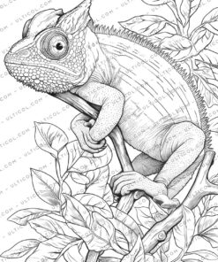Chameleon Coloring