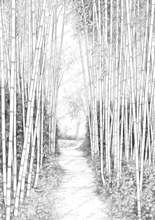 Bamboo Grayscale Coloring Pages