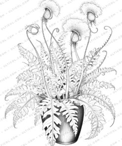Carnivorous Plants Grayscale Coloring Pages