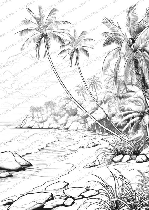 Beach Sunset Grayscale Coloring Pages