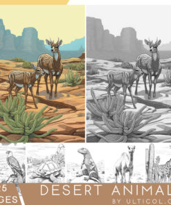 Desert Animals Coloring