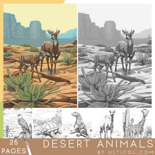 Desert Animals Coloring