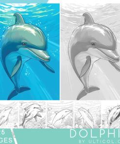 Dolphin Coloring