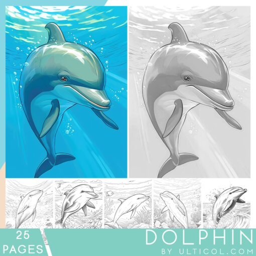 Dolphin Coloring