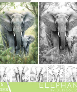 Elephant Coloring Book